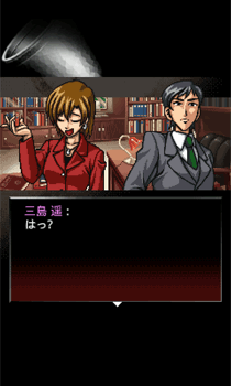 キャプチャー画像