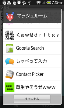 キャプチャー画像